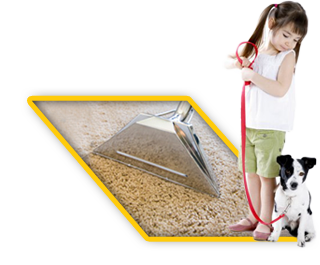 Deep Carpet Steam Cleaning